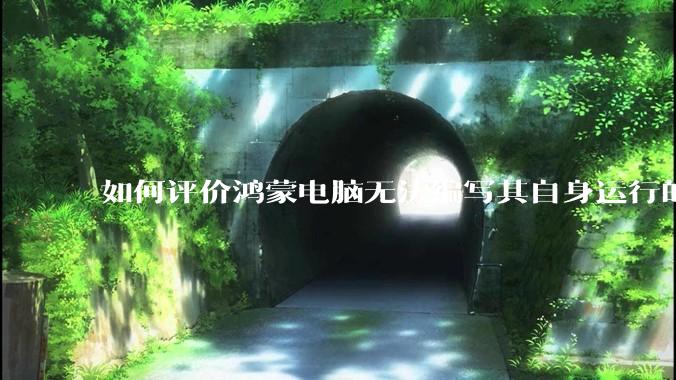如何评价鸿蒙电脑无法编写其自身运行的程序？