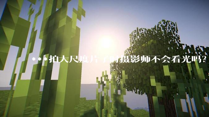 ***拍大尺度片子时摄影师不会看光吗？