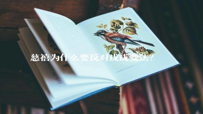慈禧为什么要反对戊戌变法？